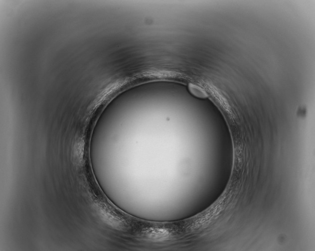 X0000100860159200806271208