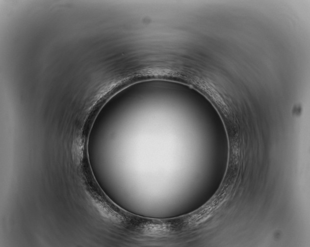 X0000100860160200806271208