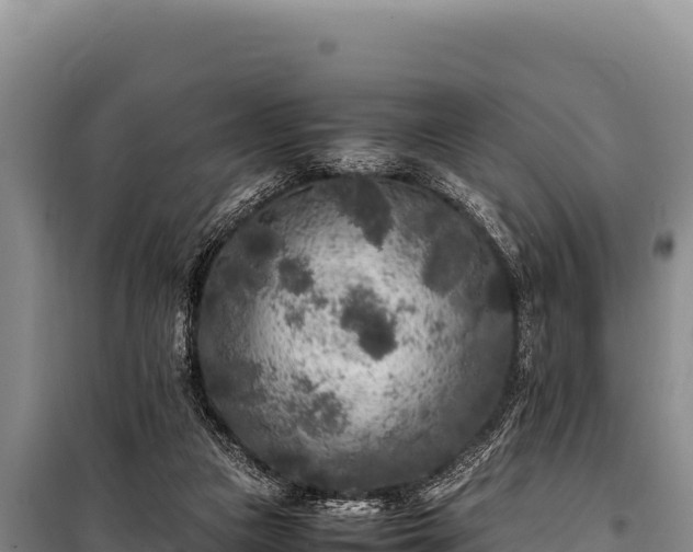 X0000100860161200806271208