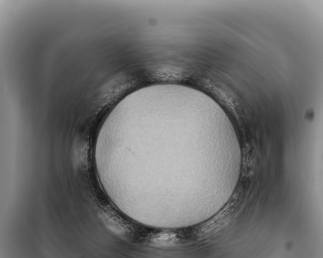 X0000100860162200806271208