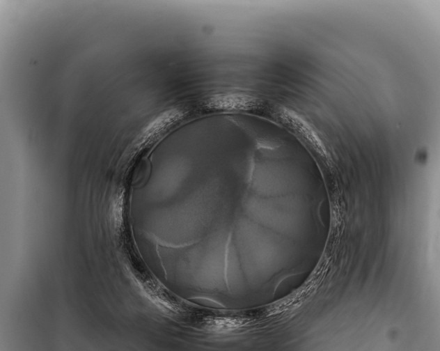 X0000100860163200806271208