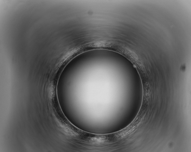 X0000100860164200806271208