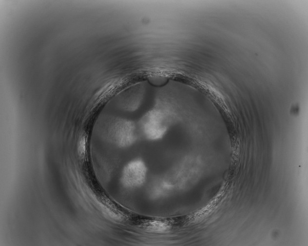 X0000100860166200806271208