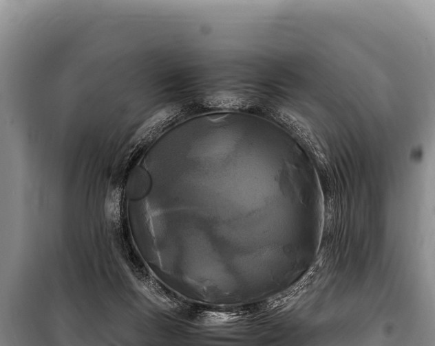 X0000100860167200806271208