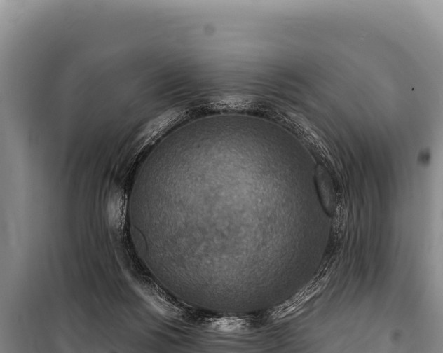 X0000100860168200806271208