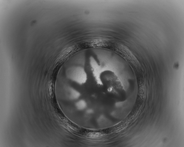 X0000100860169200806271208