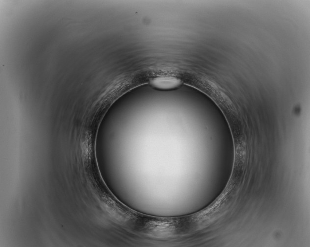 X0000100860170200806271208