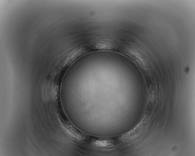 X0000100860171200806271208