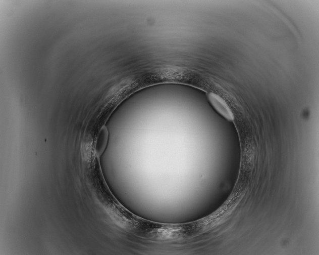 X0000100860172200806271208