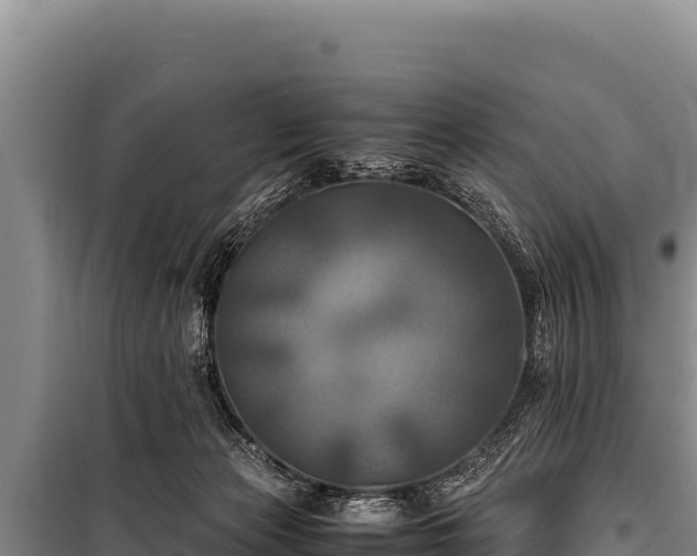 X0000100860173200806271208