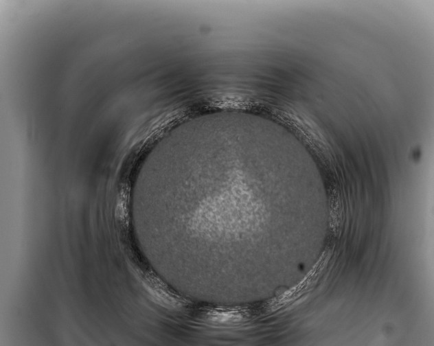 X0000100860175200806271208