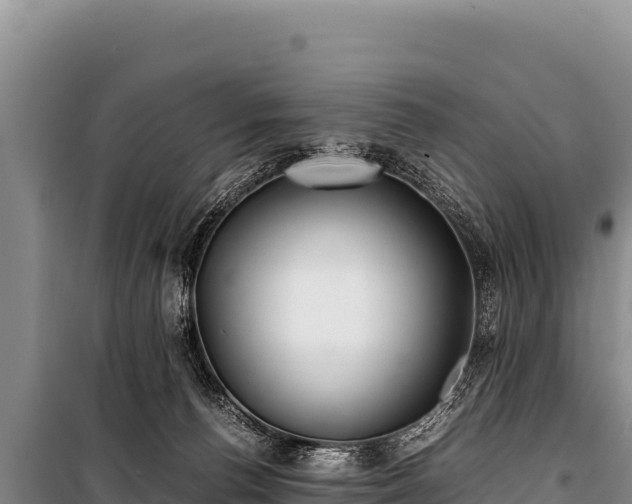 X0000100860176200806271208