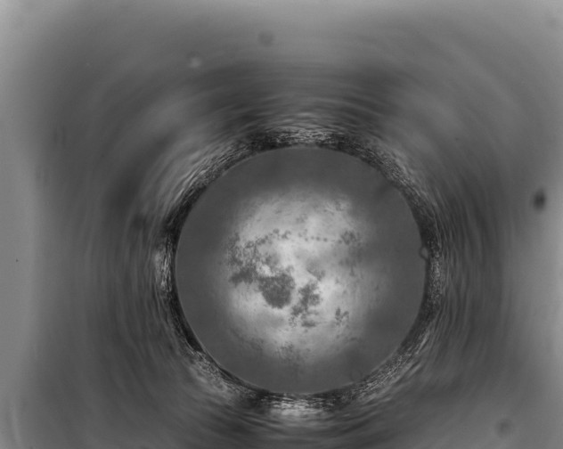 X0000100860177200806271208