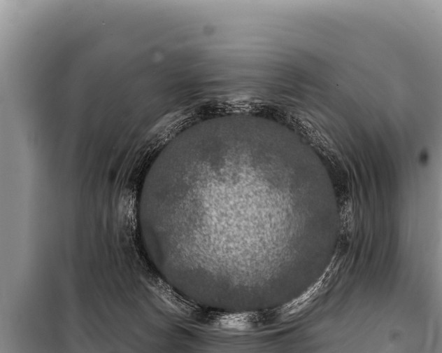 X0000100860178200806271208