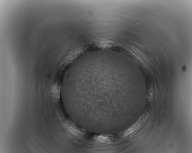 X0000100860180200806271208