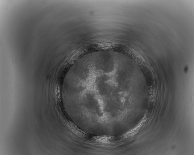 X0000100860182200806271208