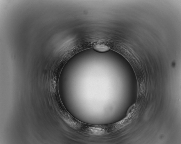 X0000100860183200806271208