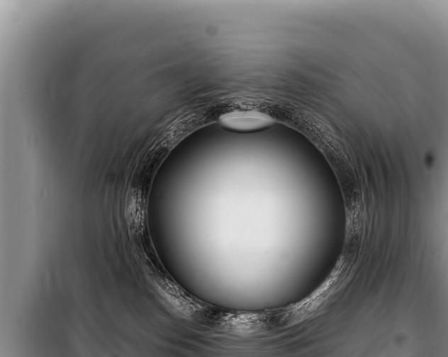 X0000100860186200806271208