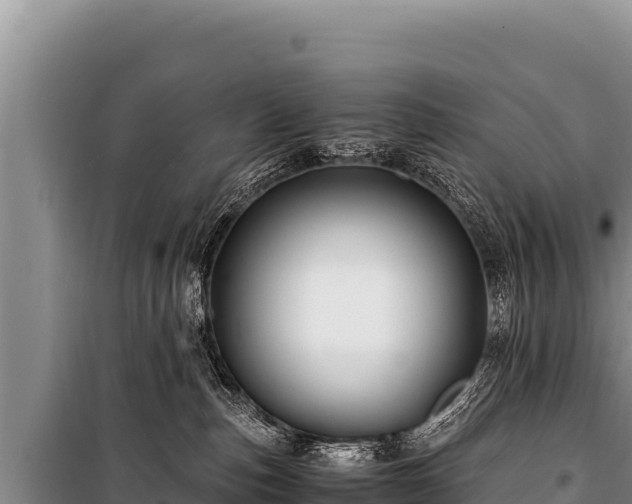 X0000100860187200806271208