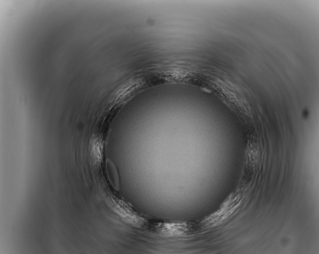 X0000100860188200806271208