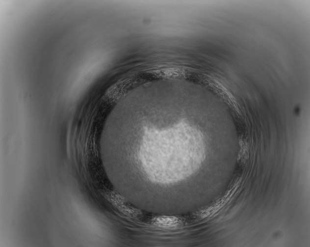 X0000100860189200806271208