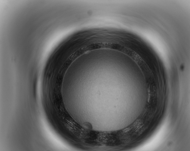 X0000100860190200806271208