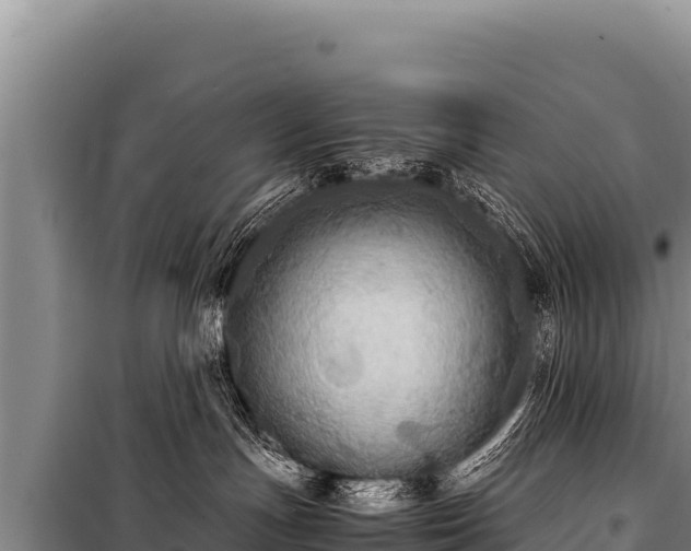 X0000100860191200806271208