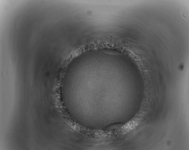 X0000100860192200806271208