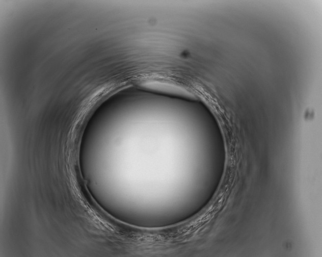 X0000100860193200806271208