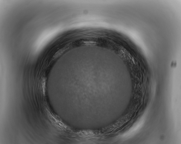 X0000100860194200806271208