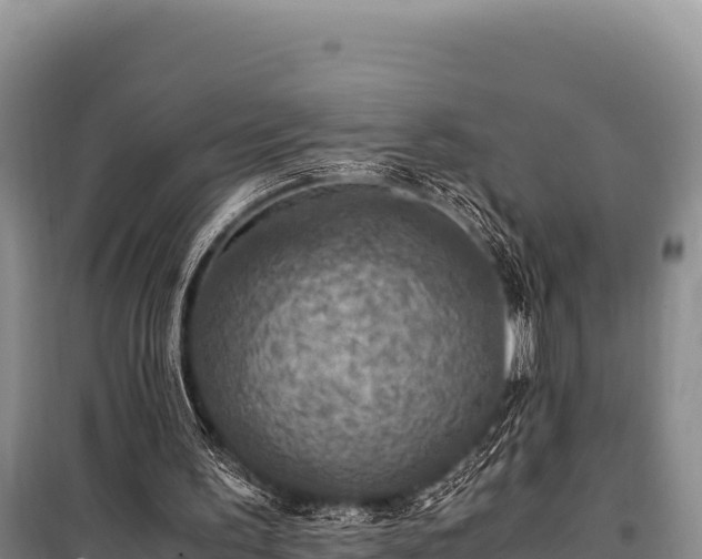 X0000100860195200806271207