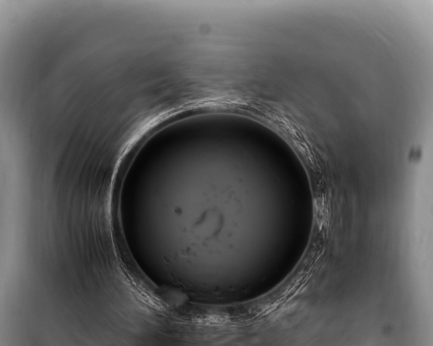 X0000100860196200806271207