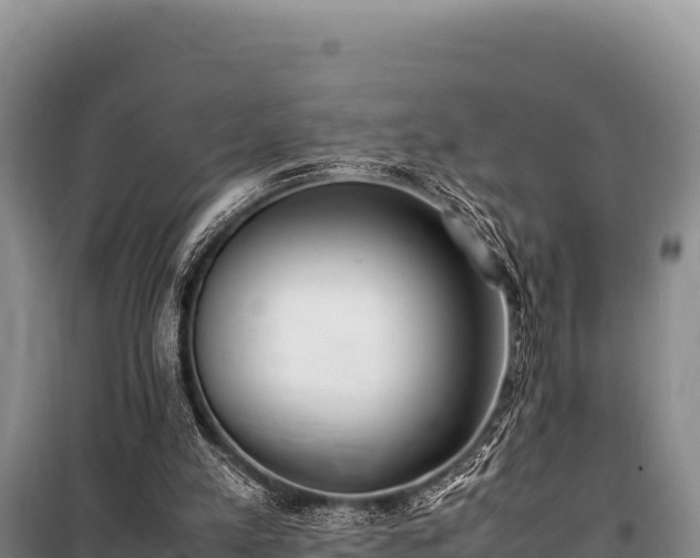 X0000100860197200806271207