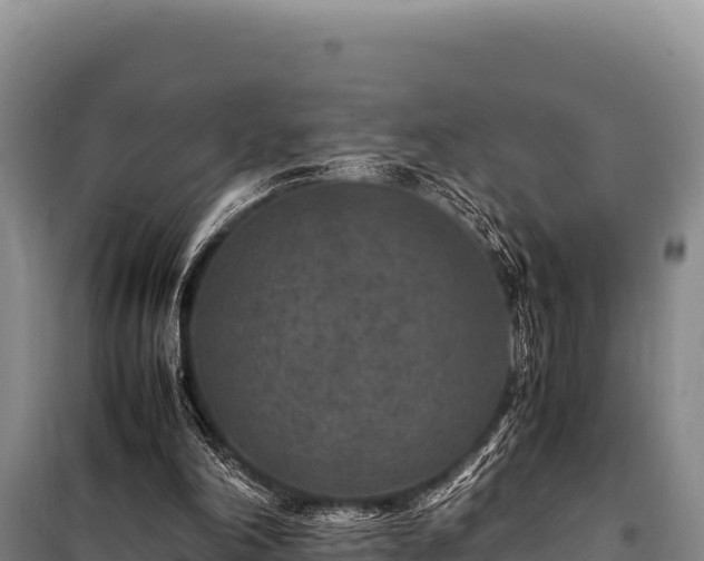 X0000100860198200806271207