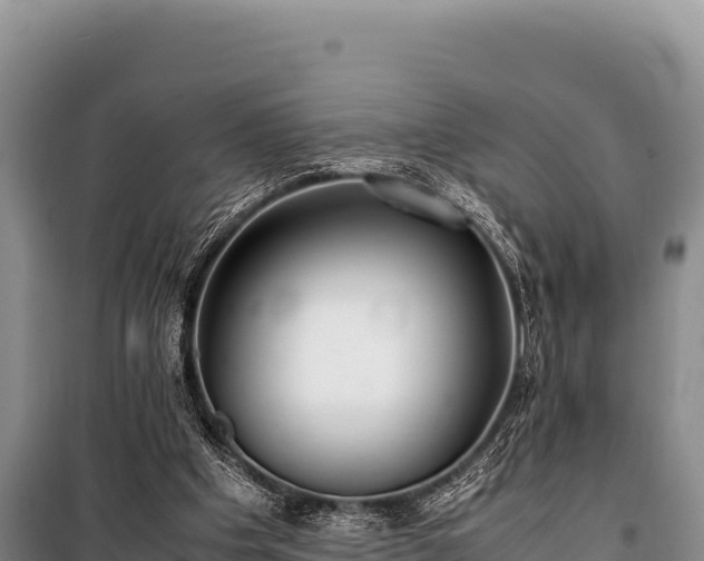 X0000100860201200806271207