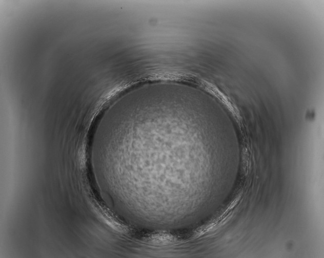 X0000100860203200806271207