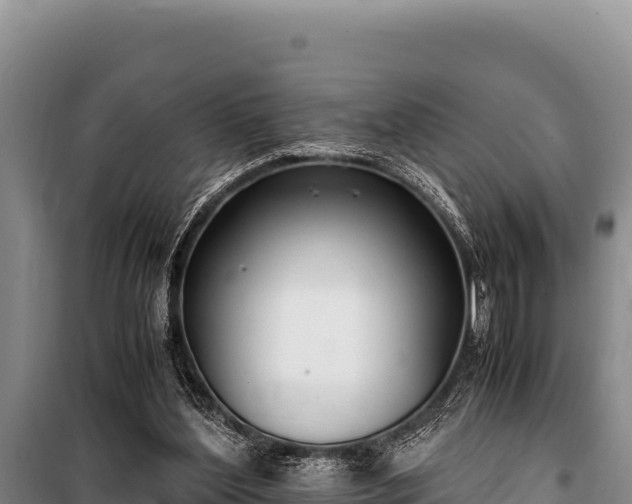 X0000100860204200806271207