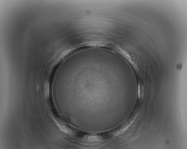 X0000100860205200806271207