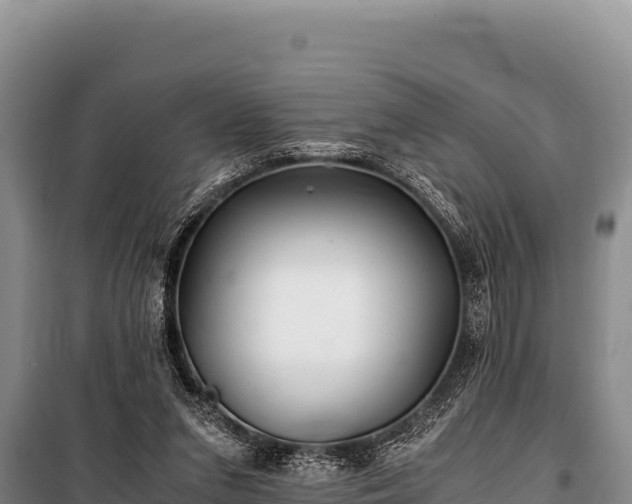 X0000100860207200806271207