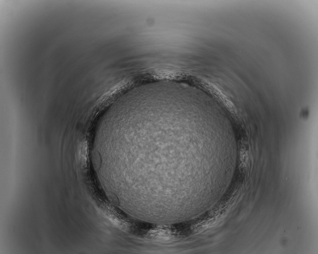 X0000100860211200806271207