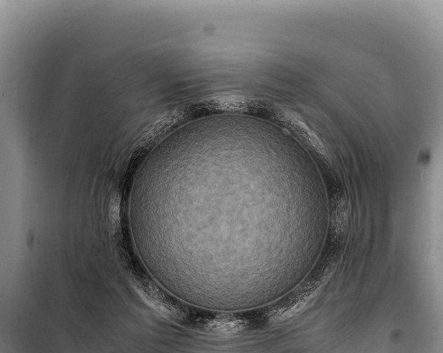 X0000100860213200806271207