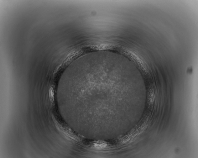 X0000100860214200806271207