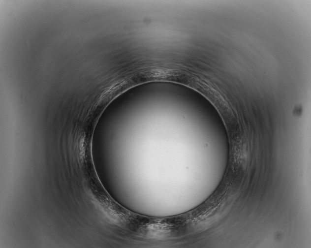 X0000100860216200806271207