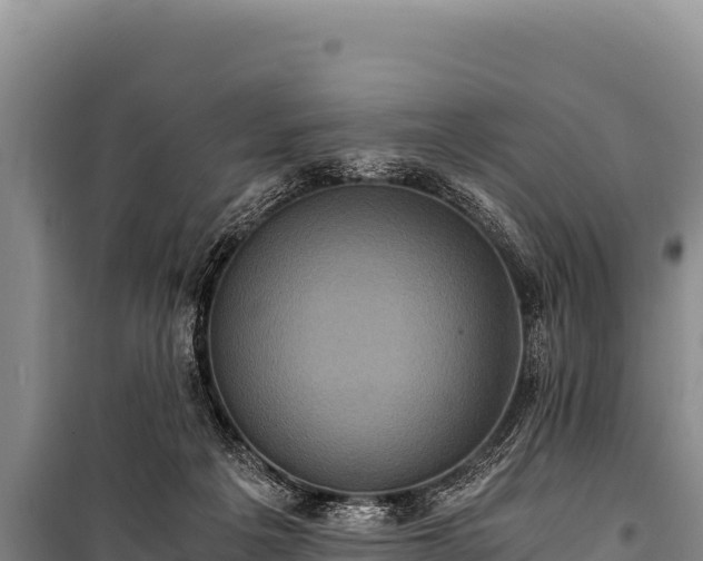 X0000100860217200806271207