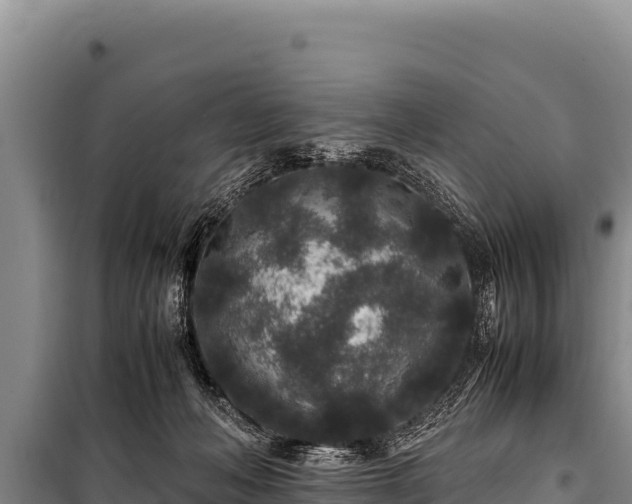 X0000100860222200806271207