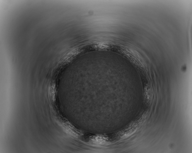 X0000100860223200806271207