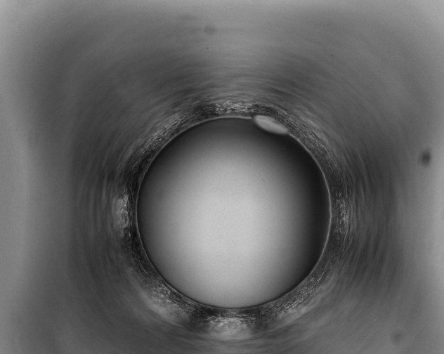 X0000100860224200806271207