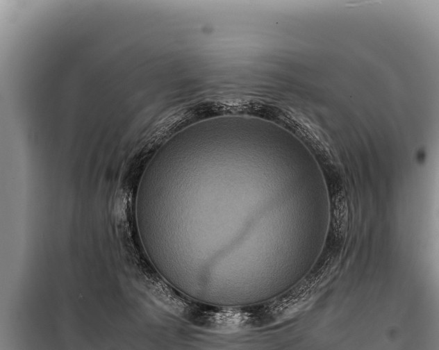 X0000100860225200806271207