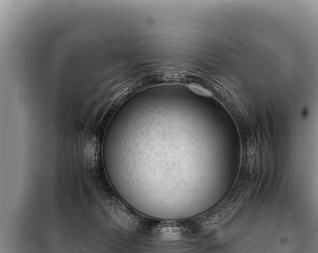 X0000100860228200806271207