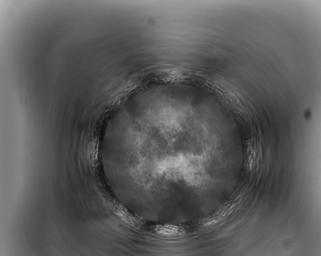 X0000100860230200806271207